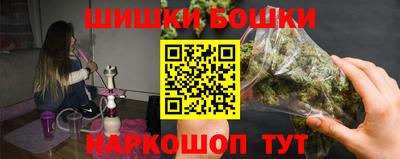 СК Новокубанск