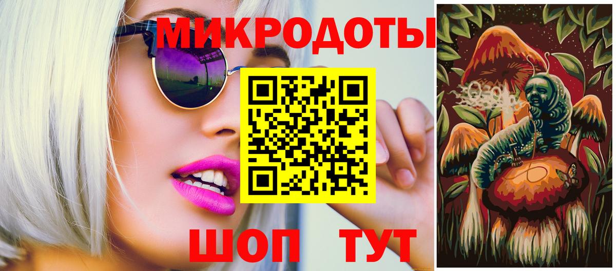 Галлюциногенные грибы Psilocybe Тихвин